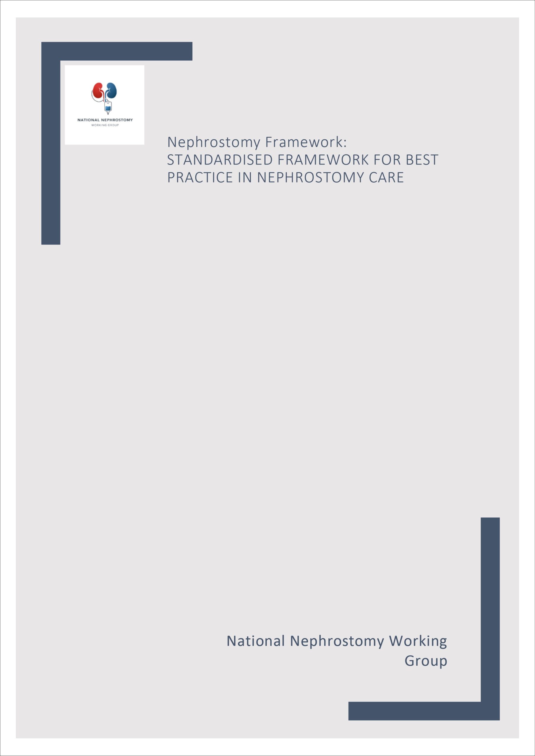 Nephrostomy Framework